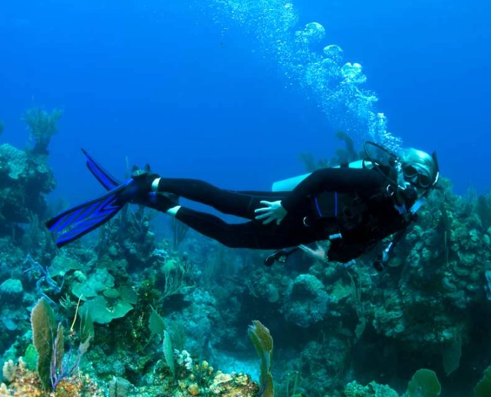 Best Caribbean Diving in November: Top Sites & Tips