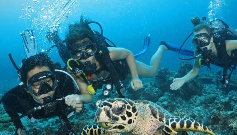 best Philippines dive sites