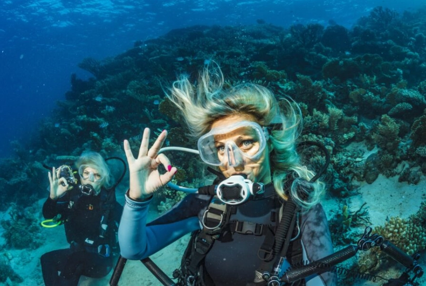 Best Scuba Diving in December: Top Destinations & Expert Tips