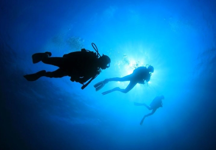 best places to dive in December