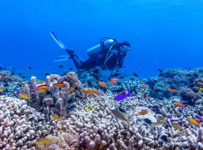 Philippines dive sites