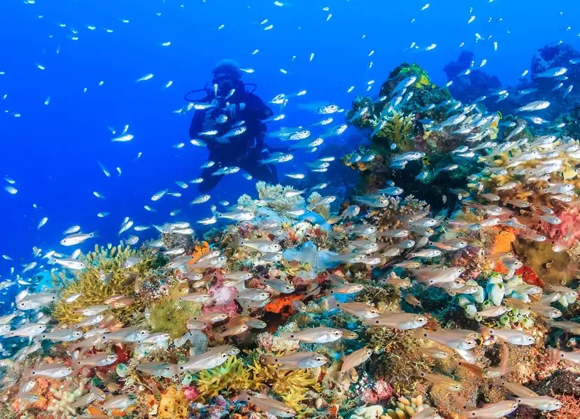 best dive sites fall best dive sites fall