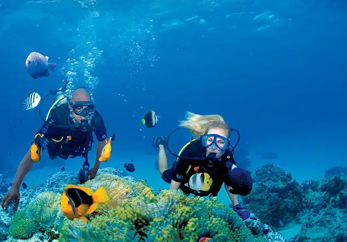 scuba diving October