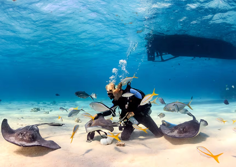 hurricane season diving hurricane season diving