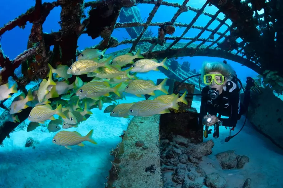 Turks and Caicos conch diving spots
