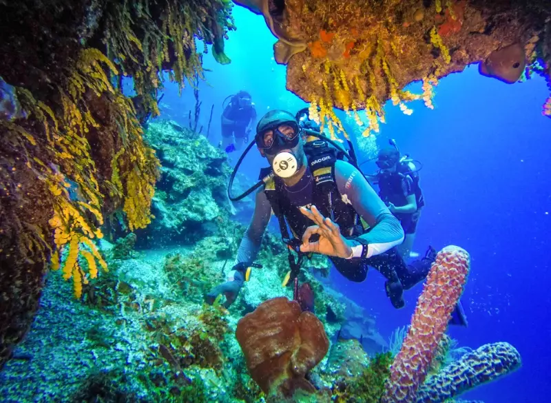 Bonaire: The Caribbean's Premier Diving Destination Unveiled