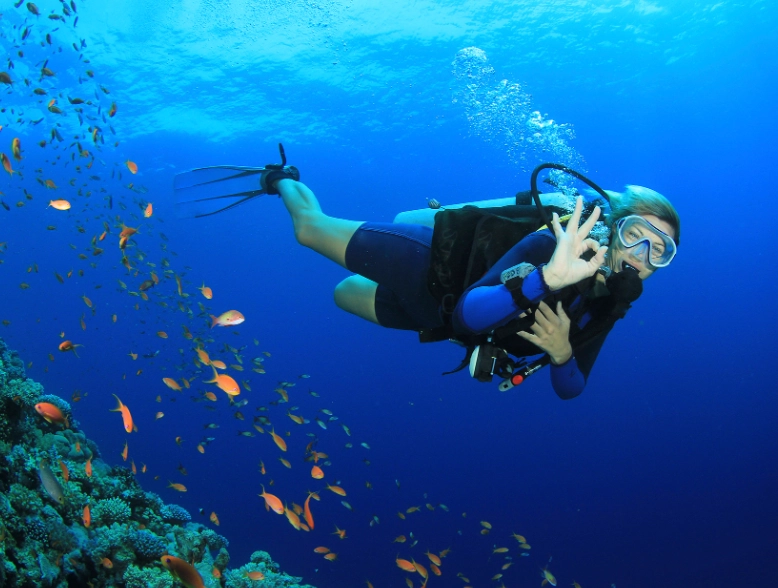 best months to dive Philippines