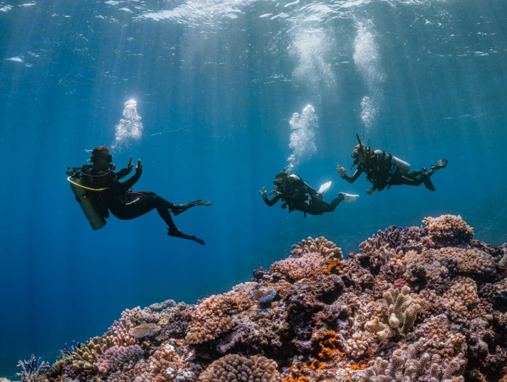 december dive travel