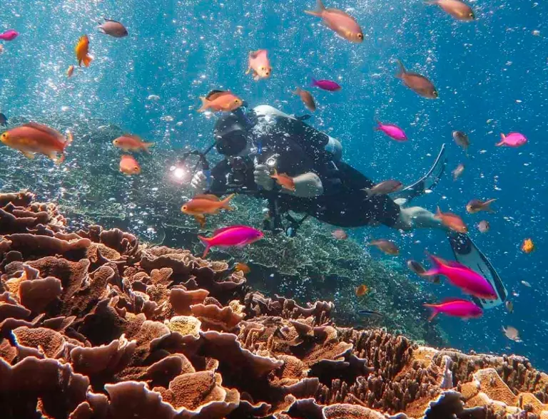 best diving Philippines