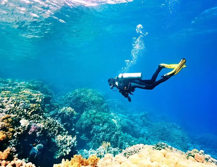 Caribbean diving October November Caribbean diving October November