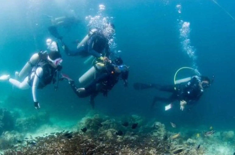 Philippines diving season