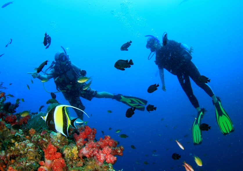 Philippines diving season