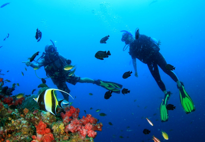 The Ultimate Guide to the Best Time to Dive in the Philippines