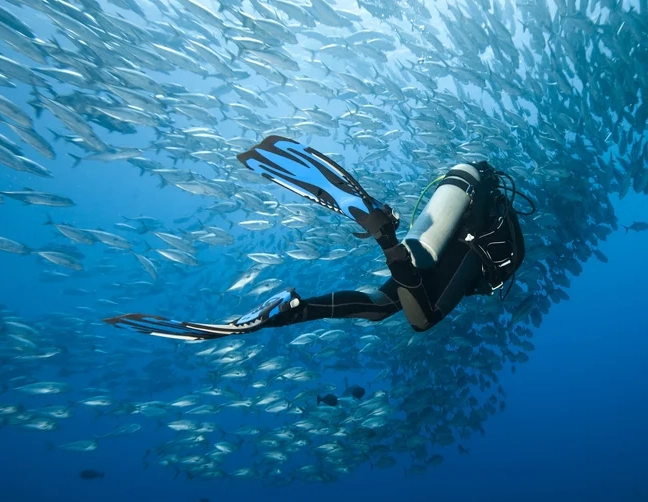 best diving Philippines