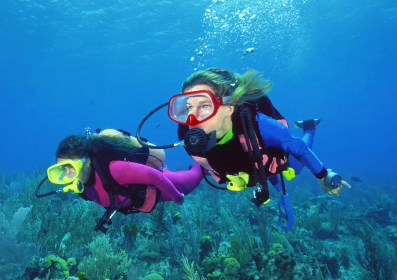 scuba diving in December