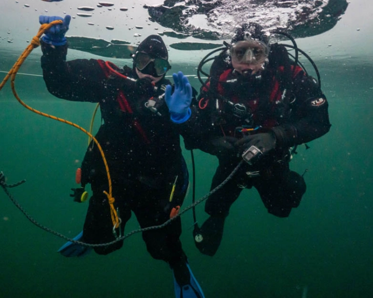 Ultimate Guide to the Best Diving in December and January