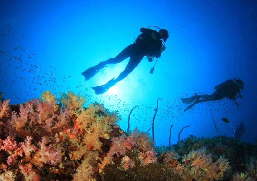 Philippines dive sites
