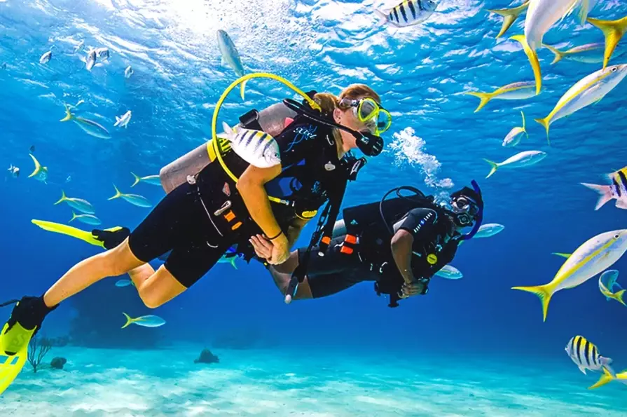 What are the best scuba diving places for beginners