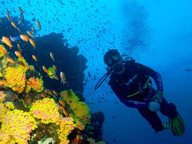 learn to dive Philippines