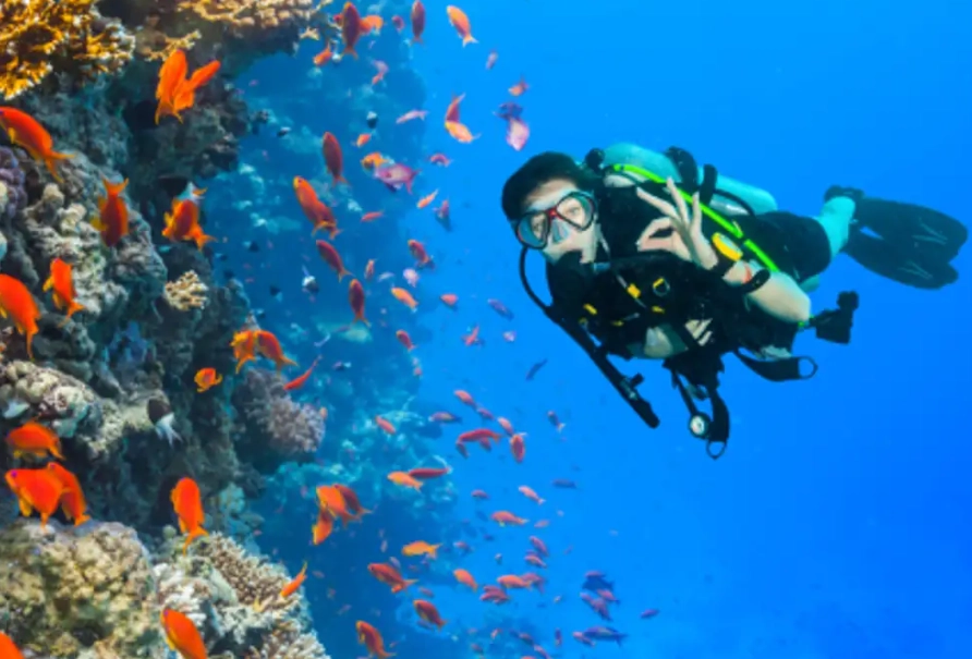 Philippines dive sites