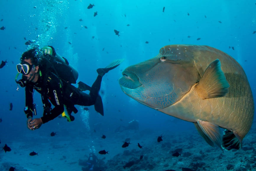Caribbean scuba diving destinations