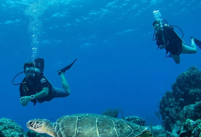 diving Providenciales