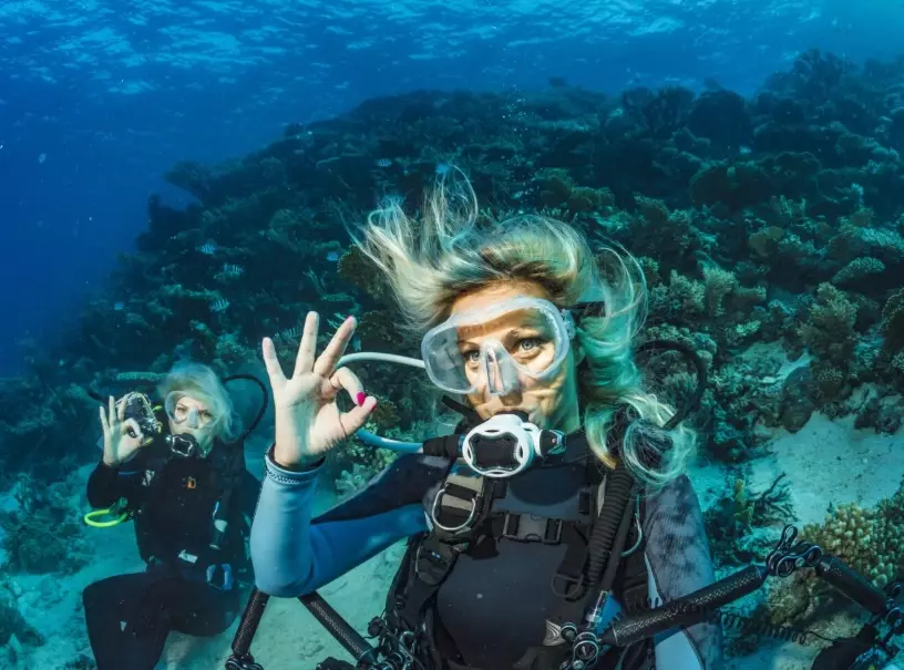 best places to dive in December