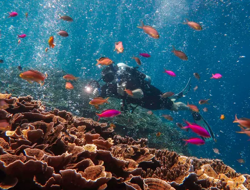 Philippines diving season