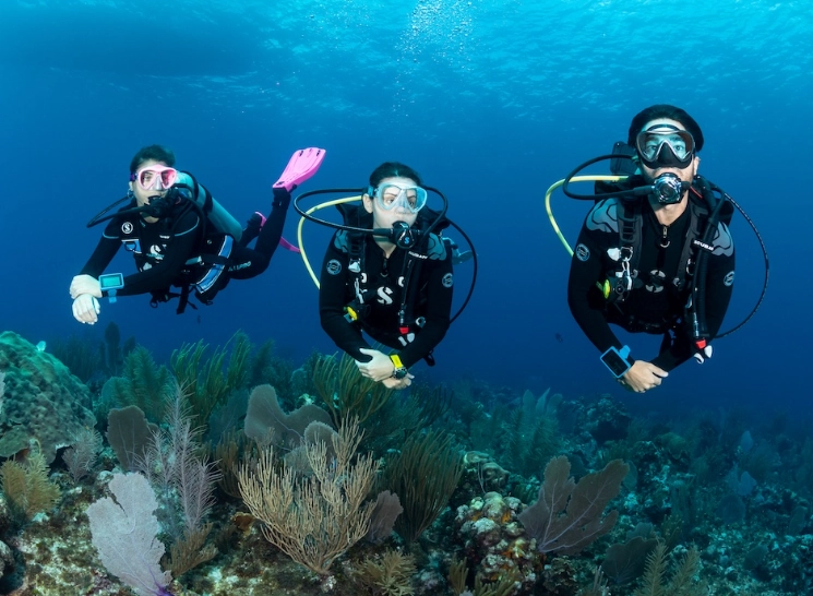 winter diving destinations