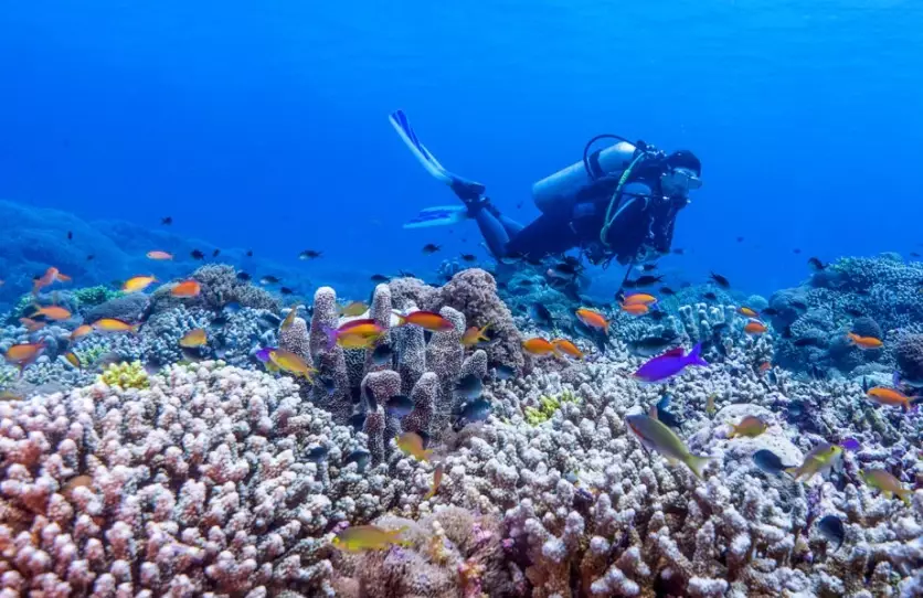 dry season diving Philippines