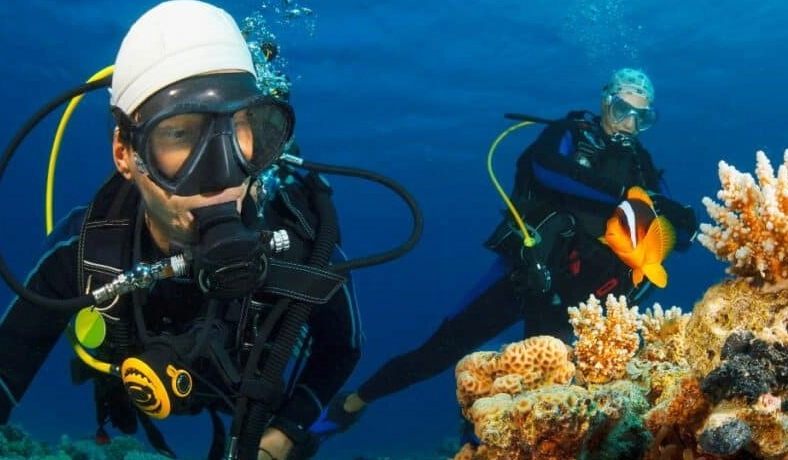 when to dive in Philippines