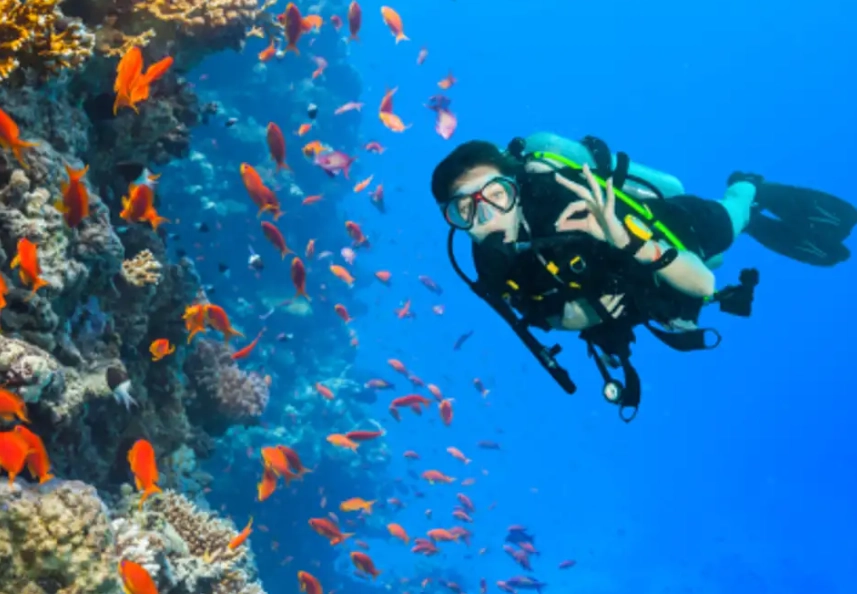 Best Philippines Diving for Beginners: Top 5 Safe & Easy Spots