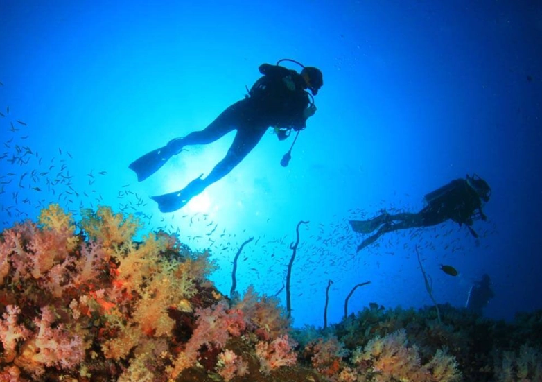 when to dive in Philippines