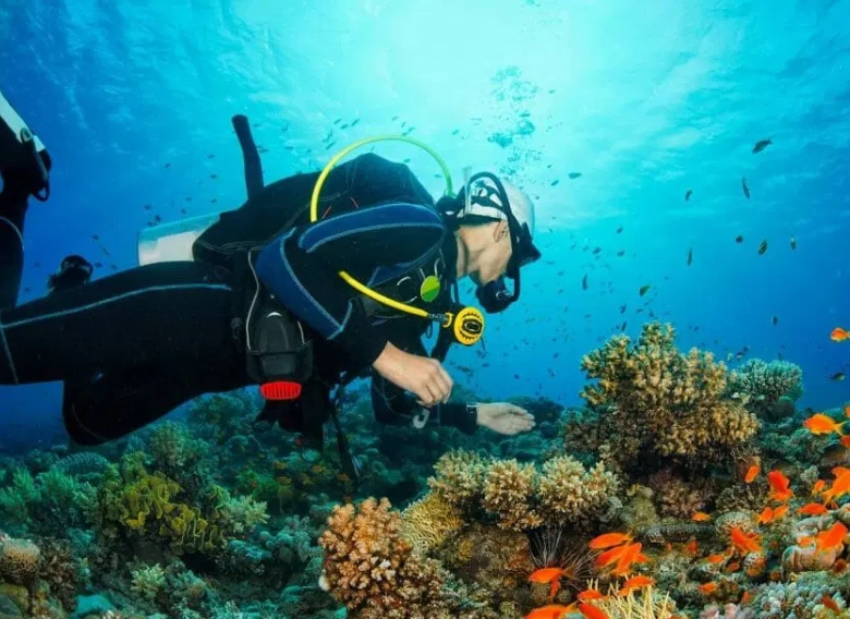 scuba diving Philippines