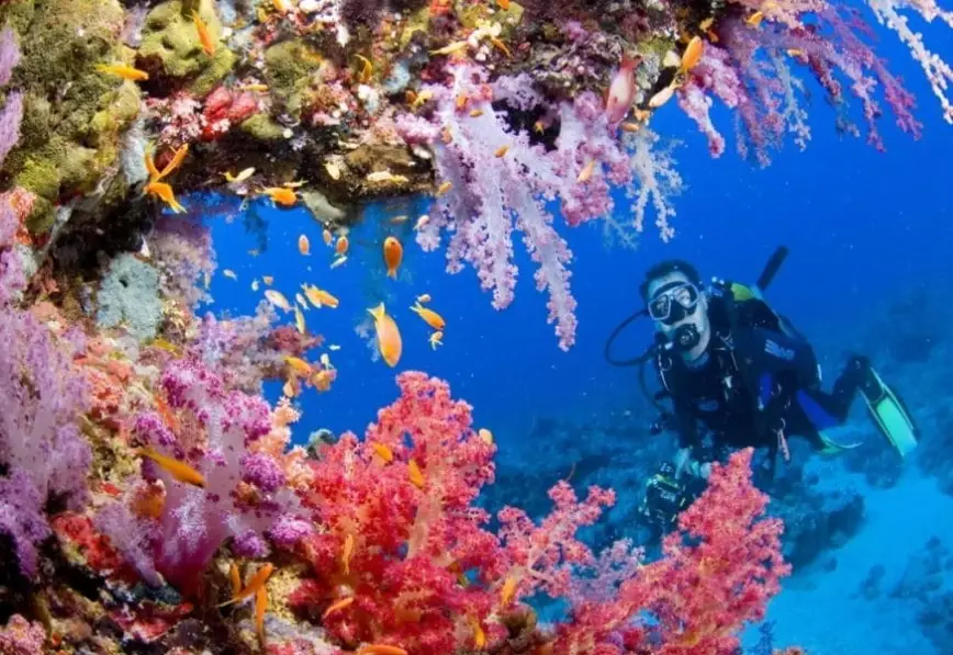 scuba diving Philippines