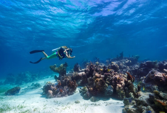 Turks and Caicos diving