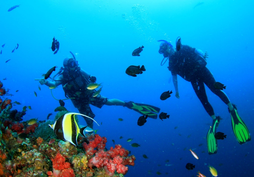 best diving Philippines