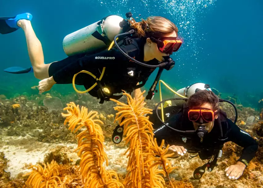 Caribbean dive destinations