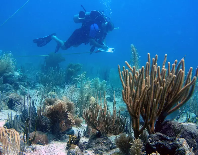 clearest scuba diving water