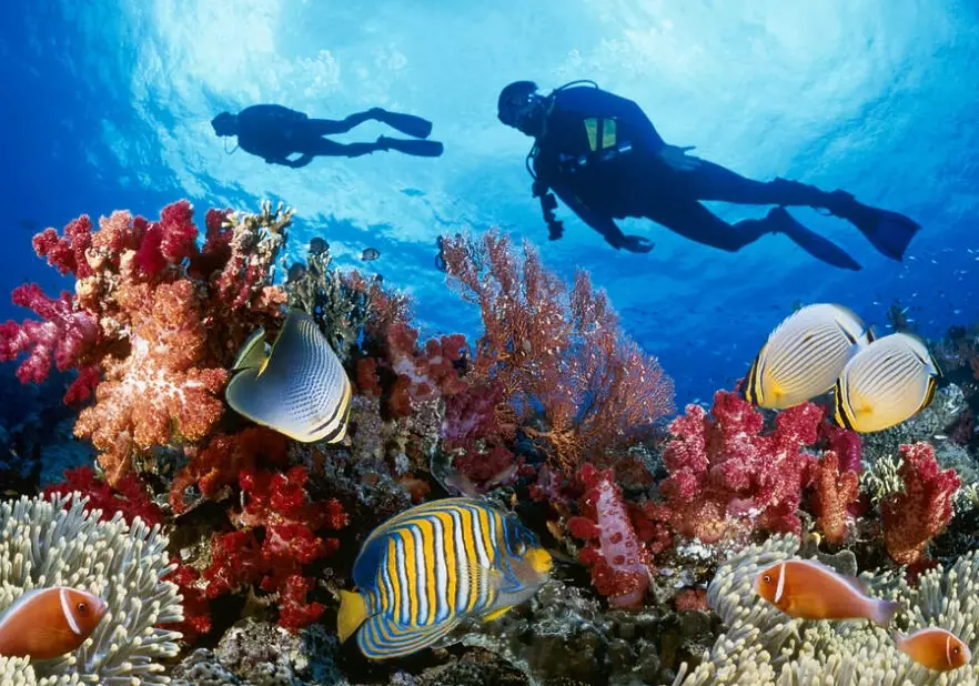 New York City scuba day trips New York City scuba day trips