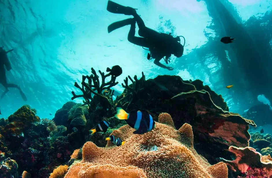 Coron Palawan wreck diving