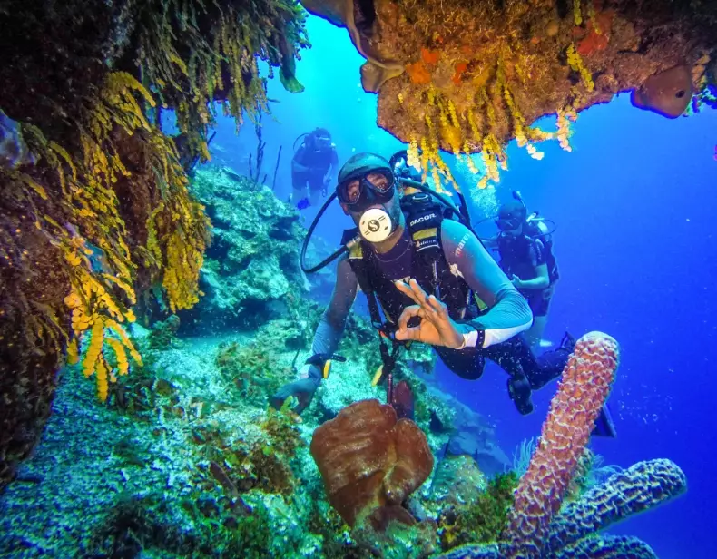 top scuba diving islands