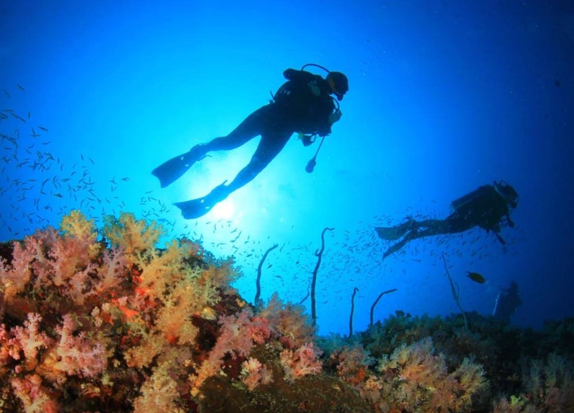 scuba diving Philippines