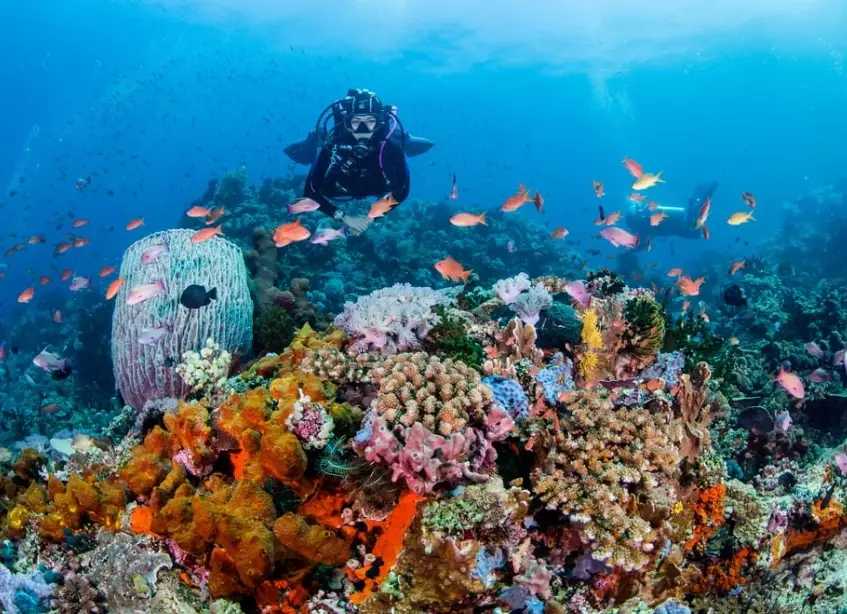 Tubbataha Reefs Natural Park