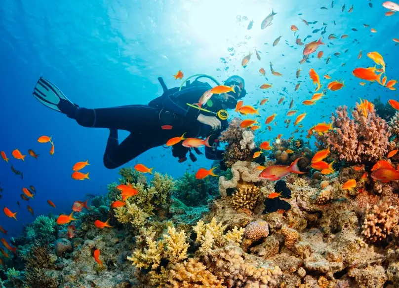 Long Island wreck diving Long Island wreck diving