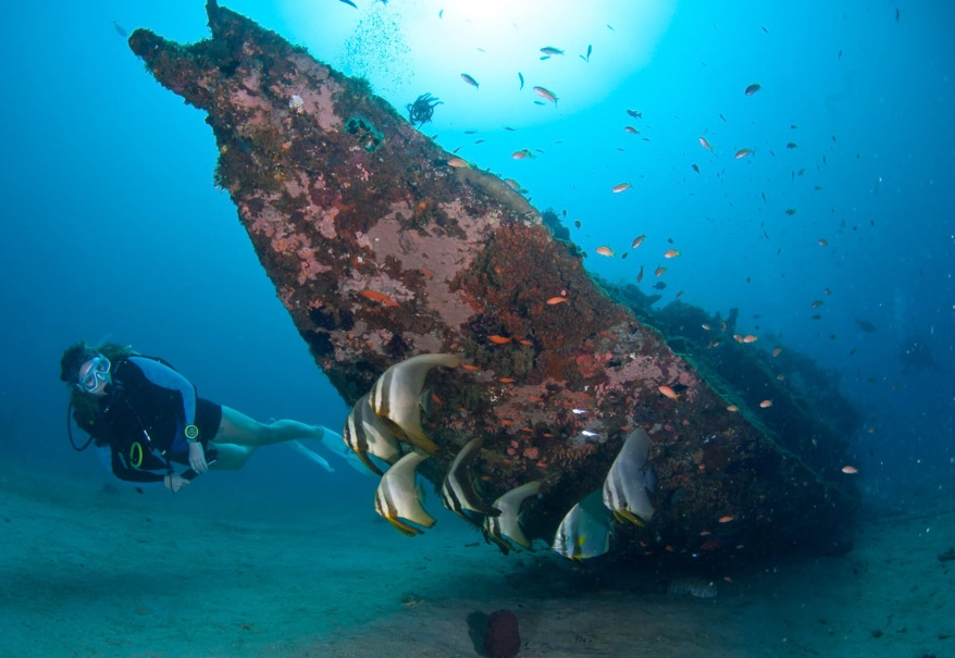 Philippines diving capital
