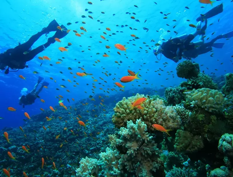 scuba diving Philippines