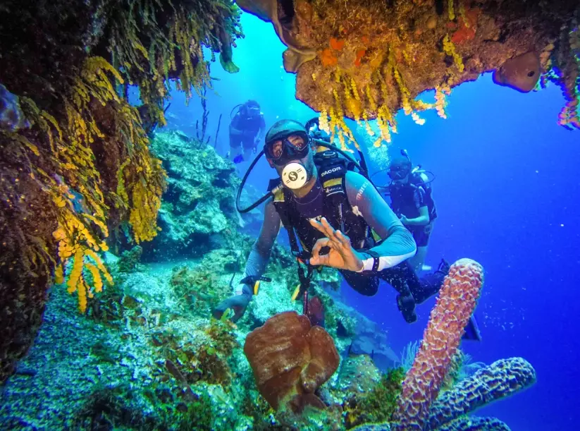 Best Scuba Diving Islands Worldwide: Ultimate Guide for Divers