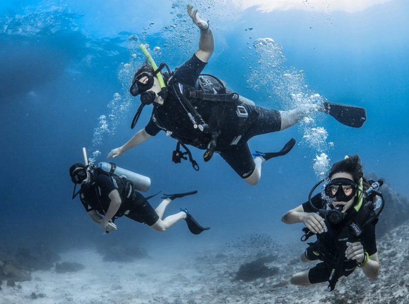 when to dive Moalboal