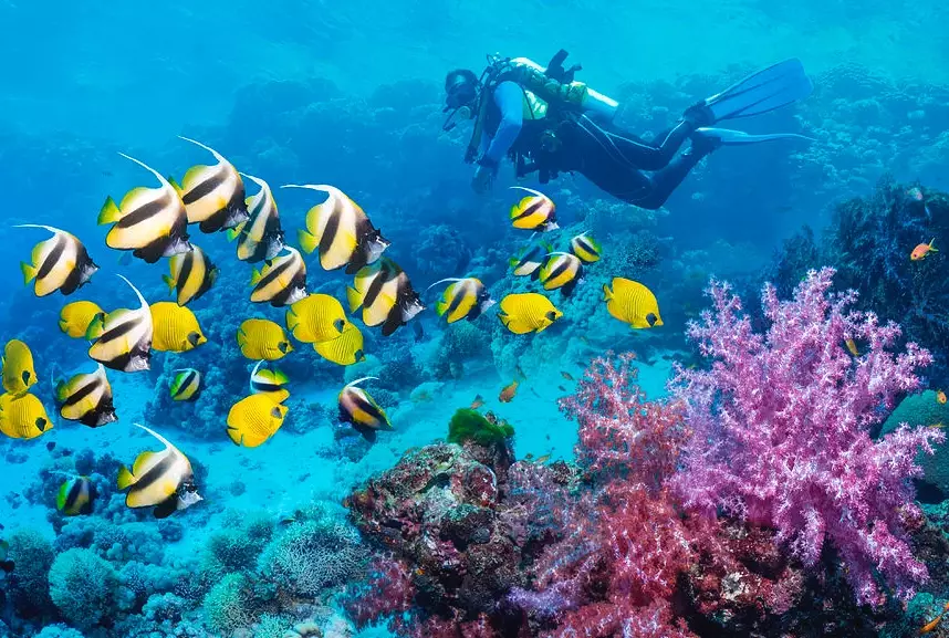 scuba diving near New York scuba diving near New York